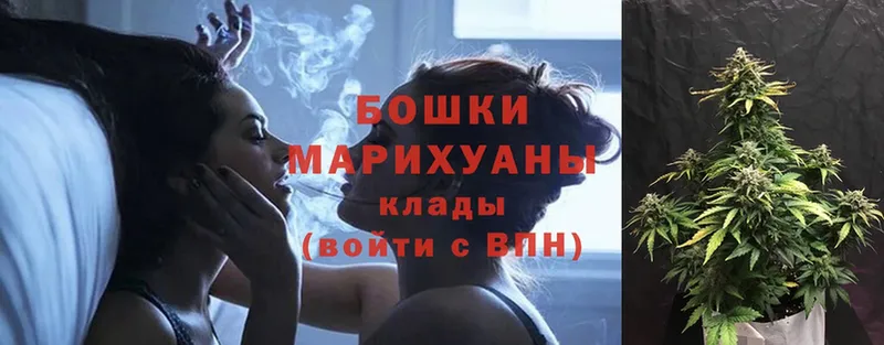 blacksprut   Кохма  Шишки марихуана White Widow  что такое  